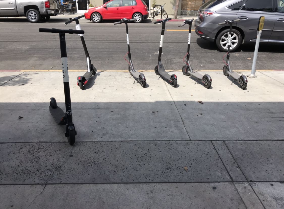 Electric bird scooters Los Angeles